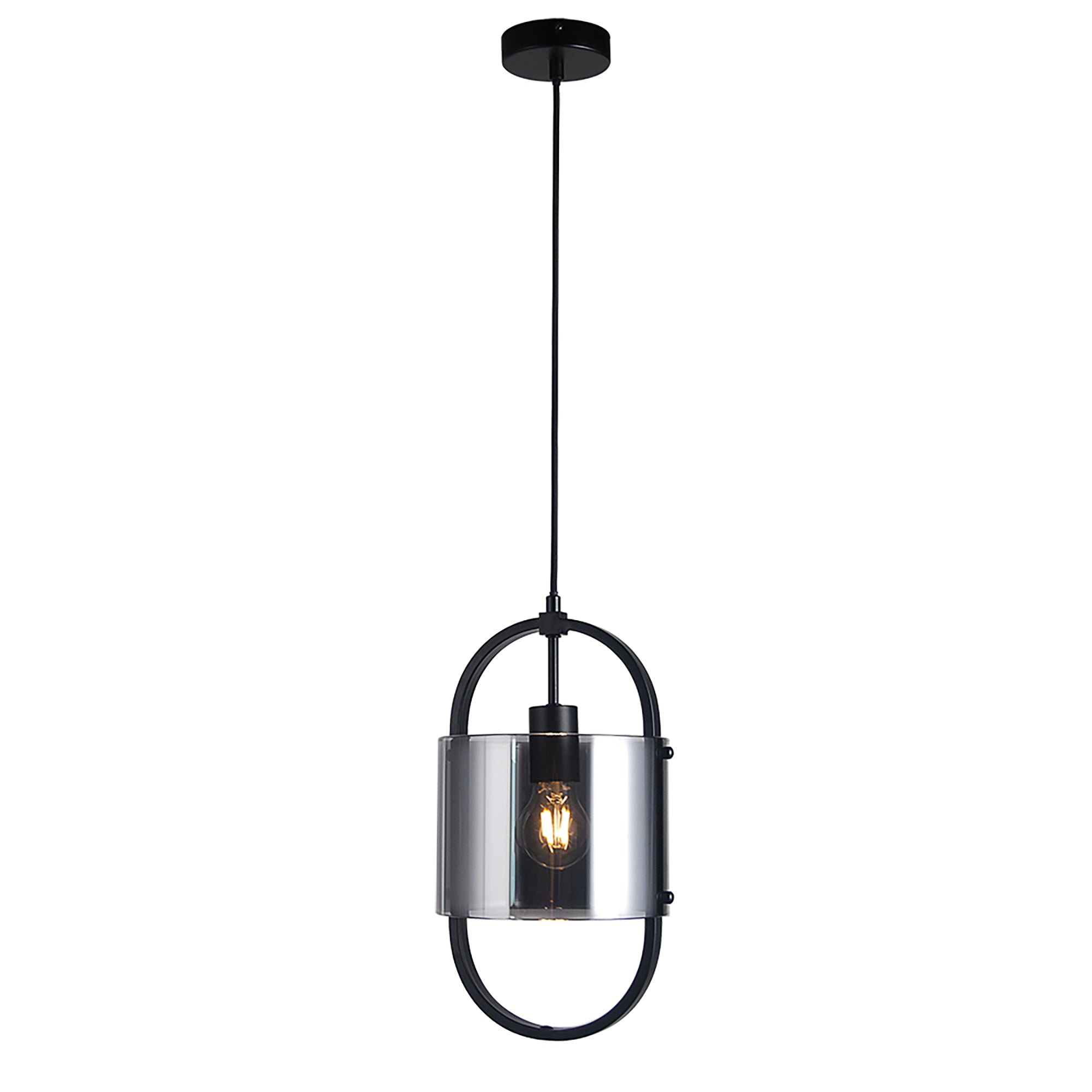 Dynamic Black with Smoke Glass 1 Light Pendant