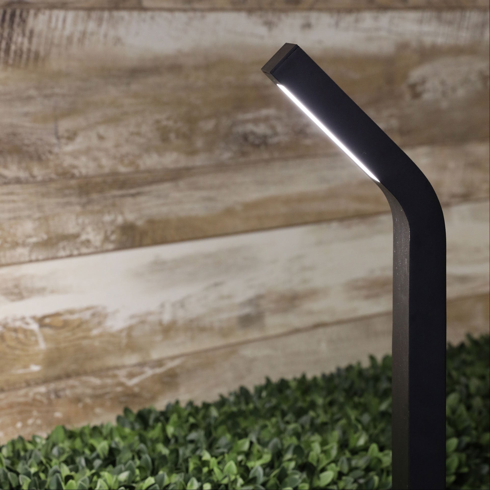 Vanguard Black 10W 240V 4000K IP54 Bollard Light