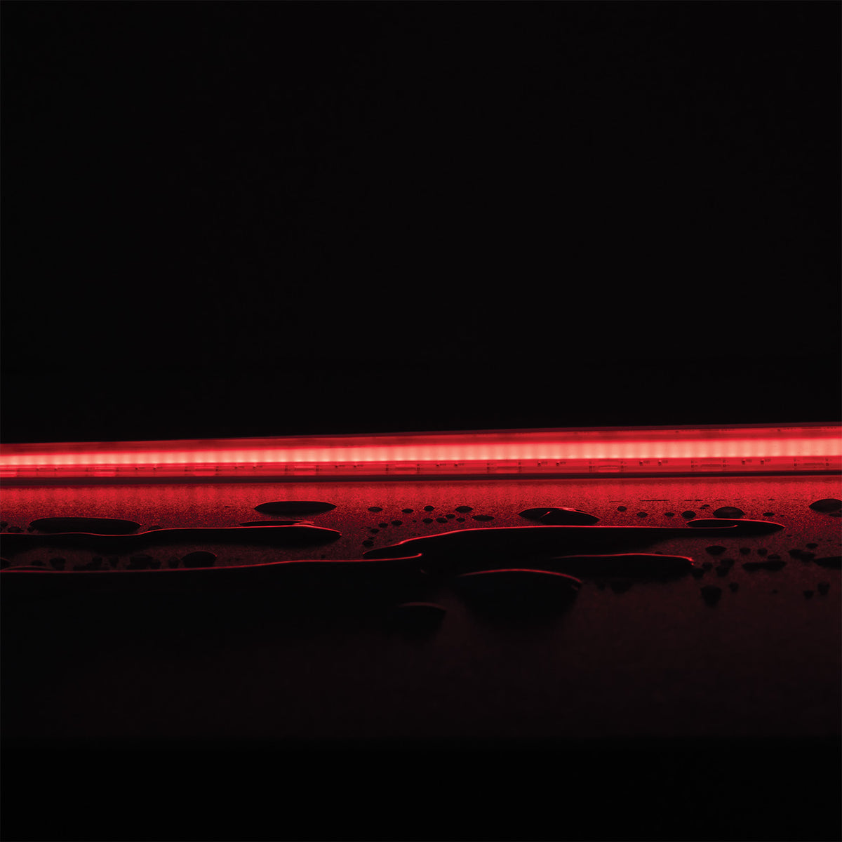 Plex RGB 14W P/M COB Strip 24V IP54 840LED/M 50M Pack