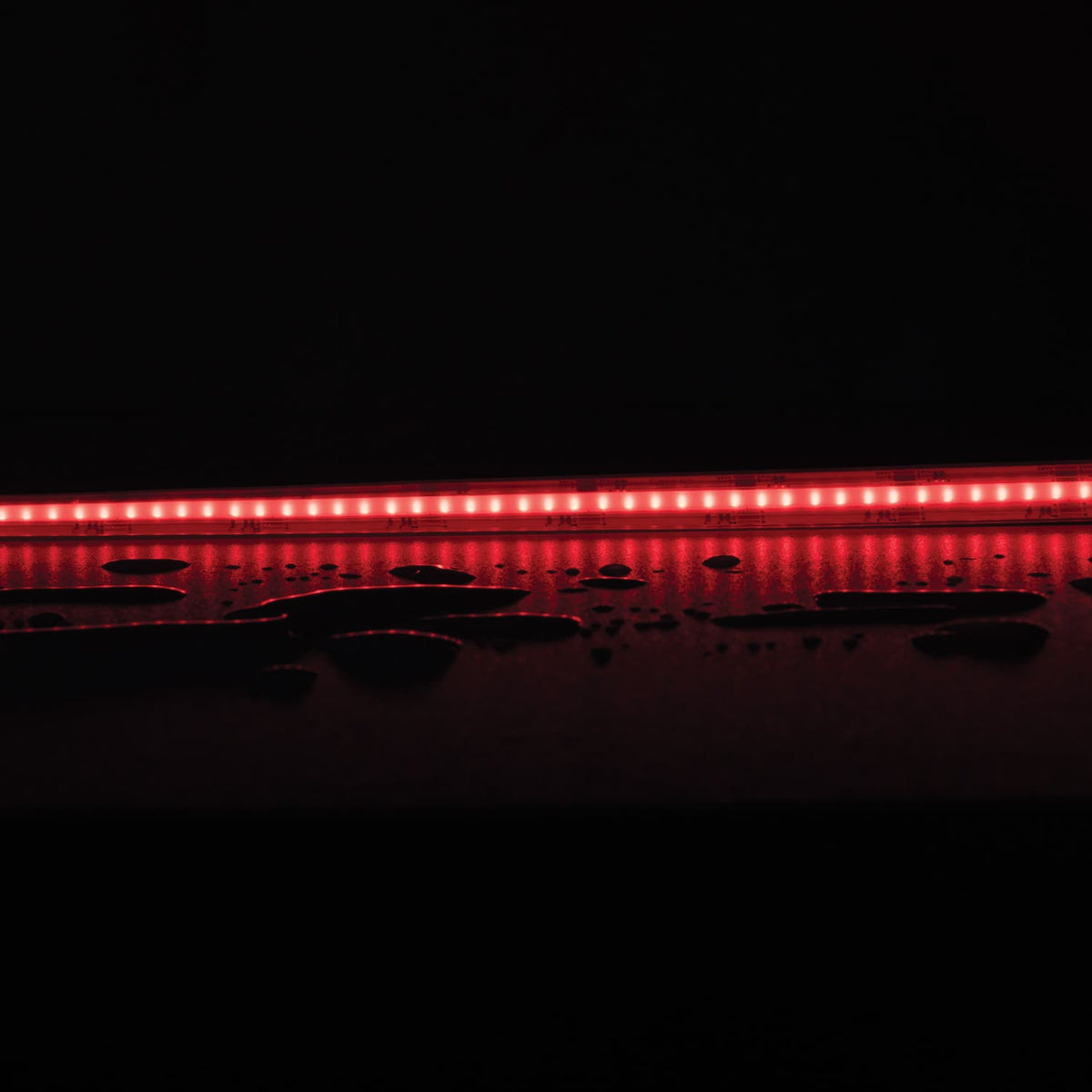 Plex-RGB+Tune/White 21W P/M COB Strip 24V IP67 840LED/M 50M Pack
