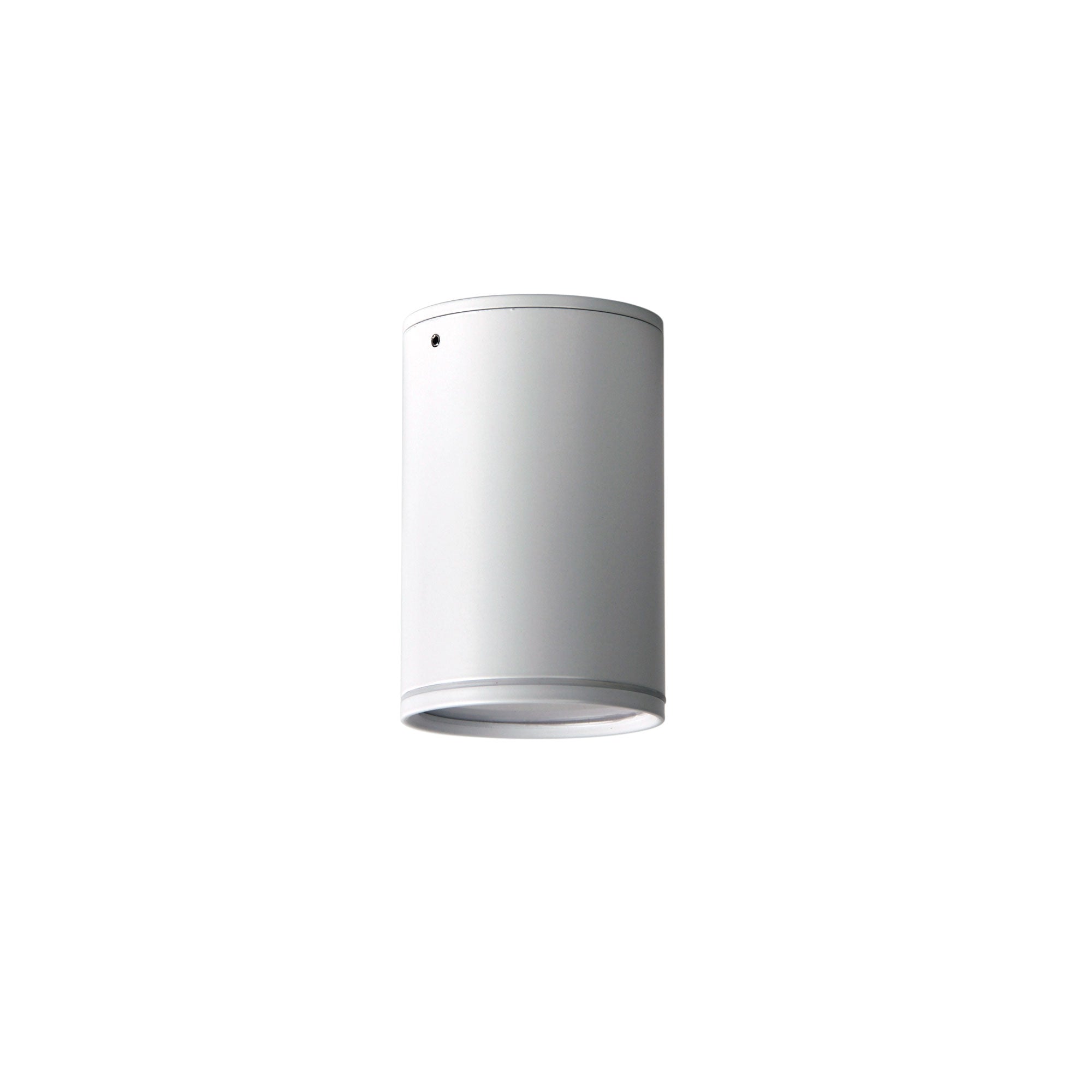 Entas 9W Tricolour LED Surface Mount Canister in White