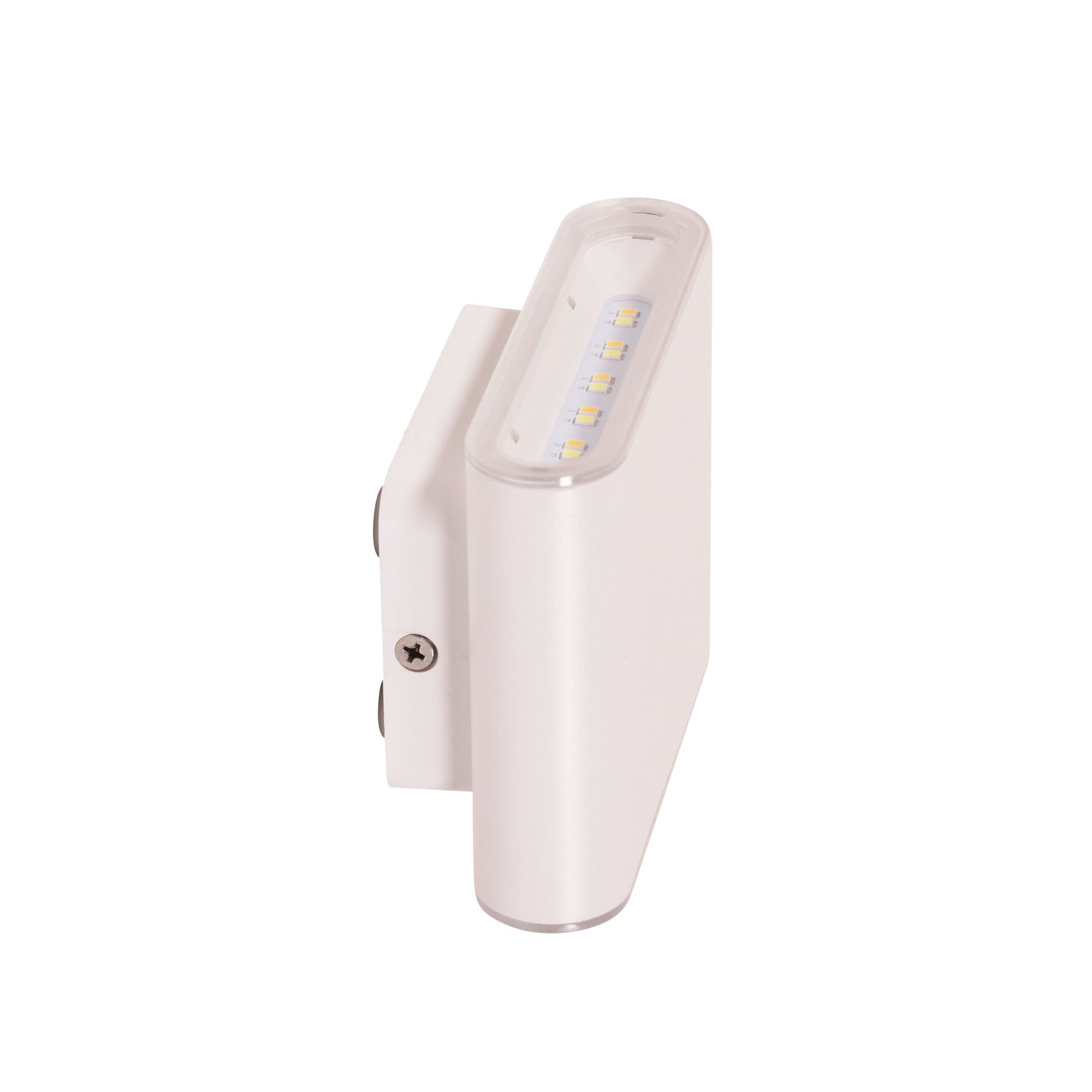 Wash White 2X3W 240V CCT IP65 Up/Down LED Wall Light