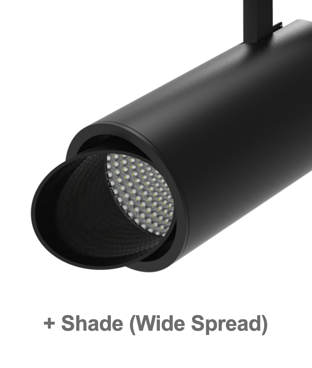 Zone: Track Head Standard & Optional Accessories