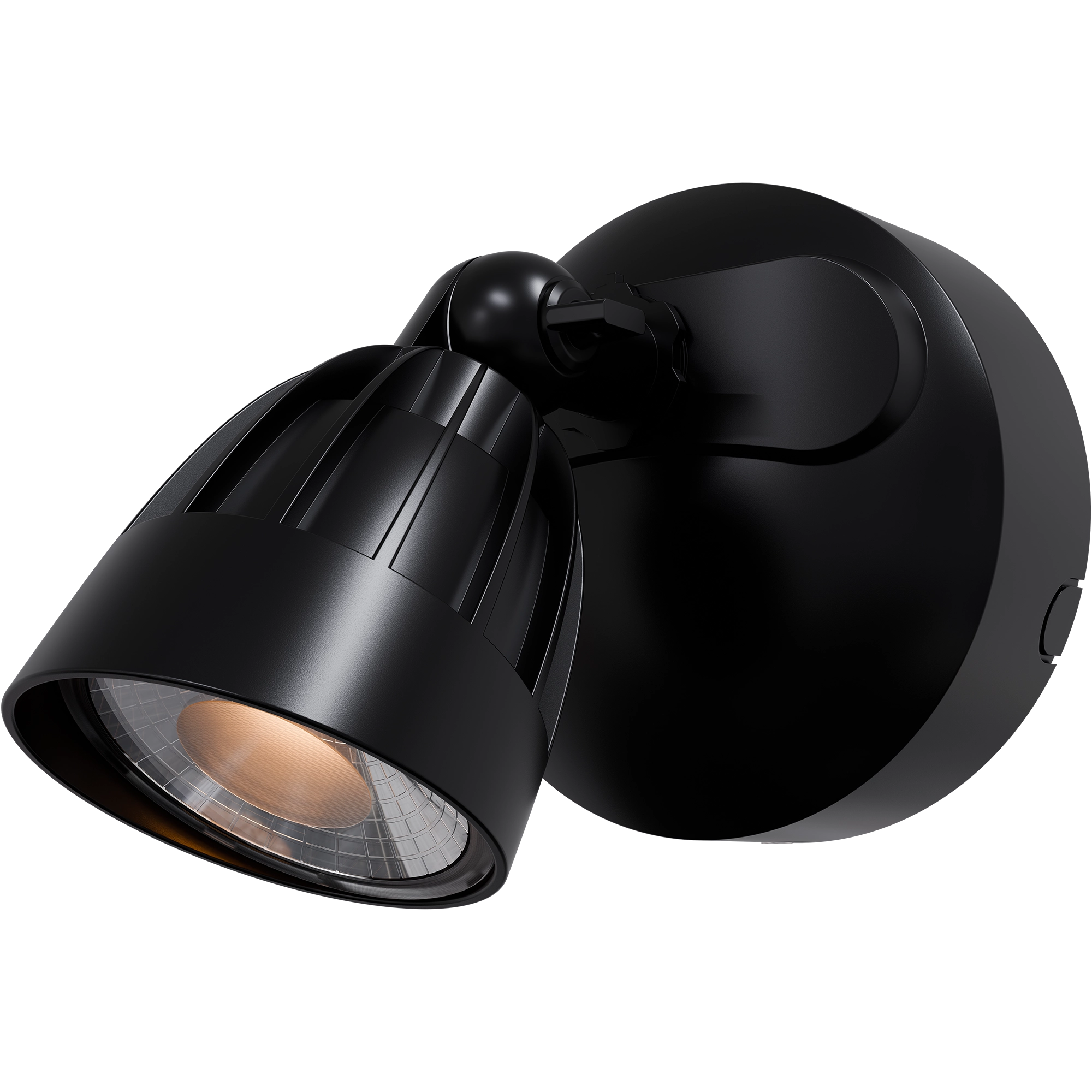 Nighthawk 1 Light Exterior Spotlight 15W TRI Colour Black IP65