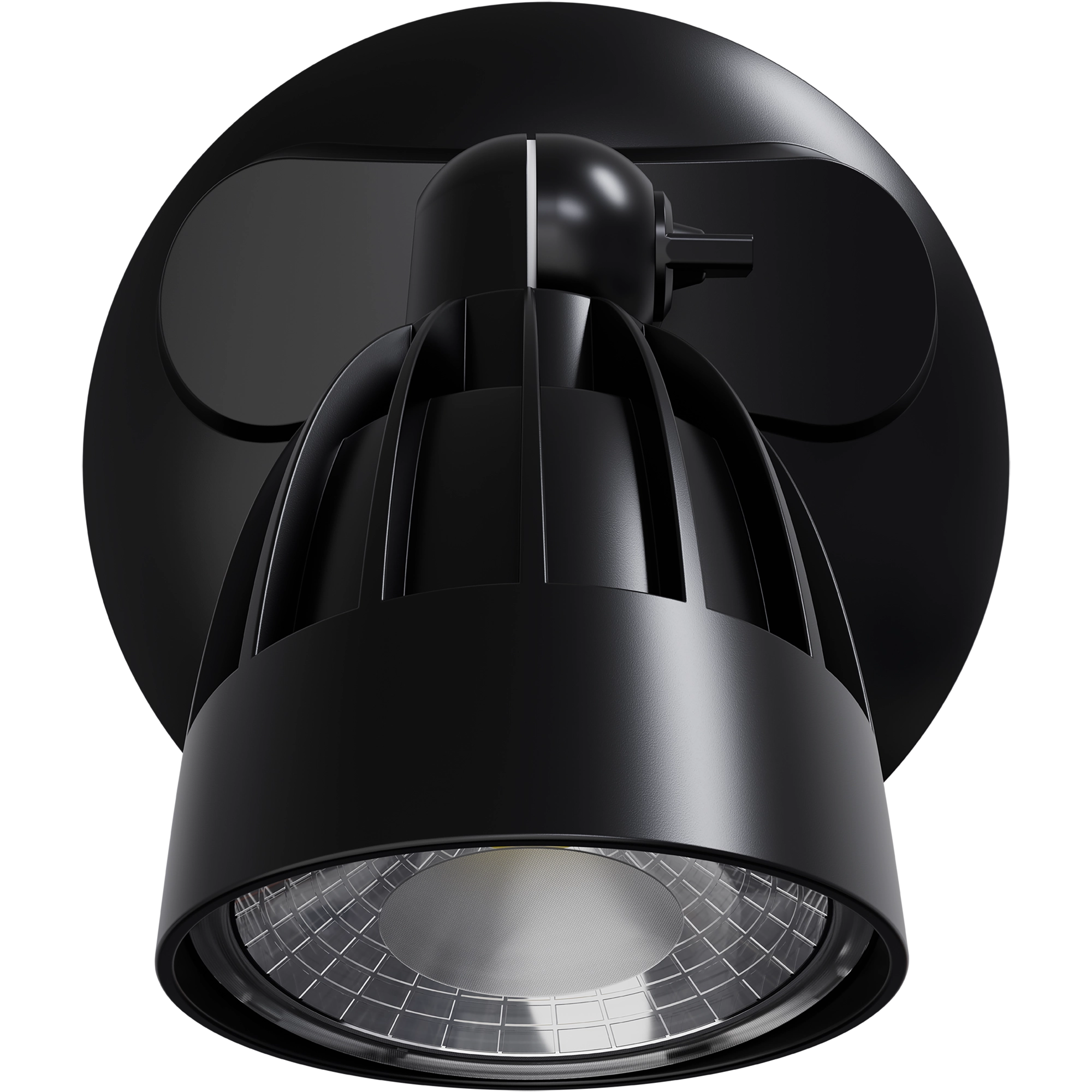 Nighthawk 1 Light Exterior Spotlight 15W TRI Colour Black IP65