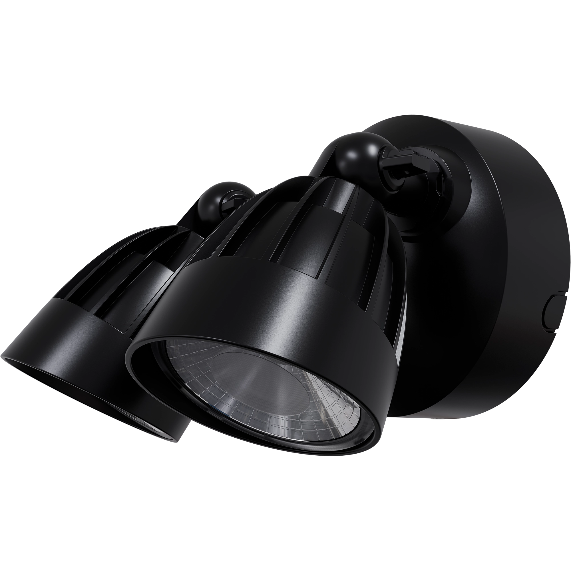 Nighthawk 2 Light Exterior Spotlight 30W TRI Colour Black IP65