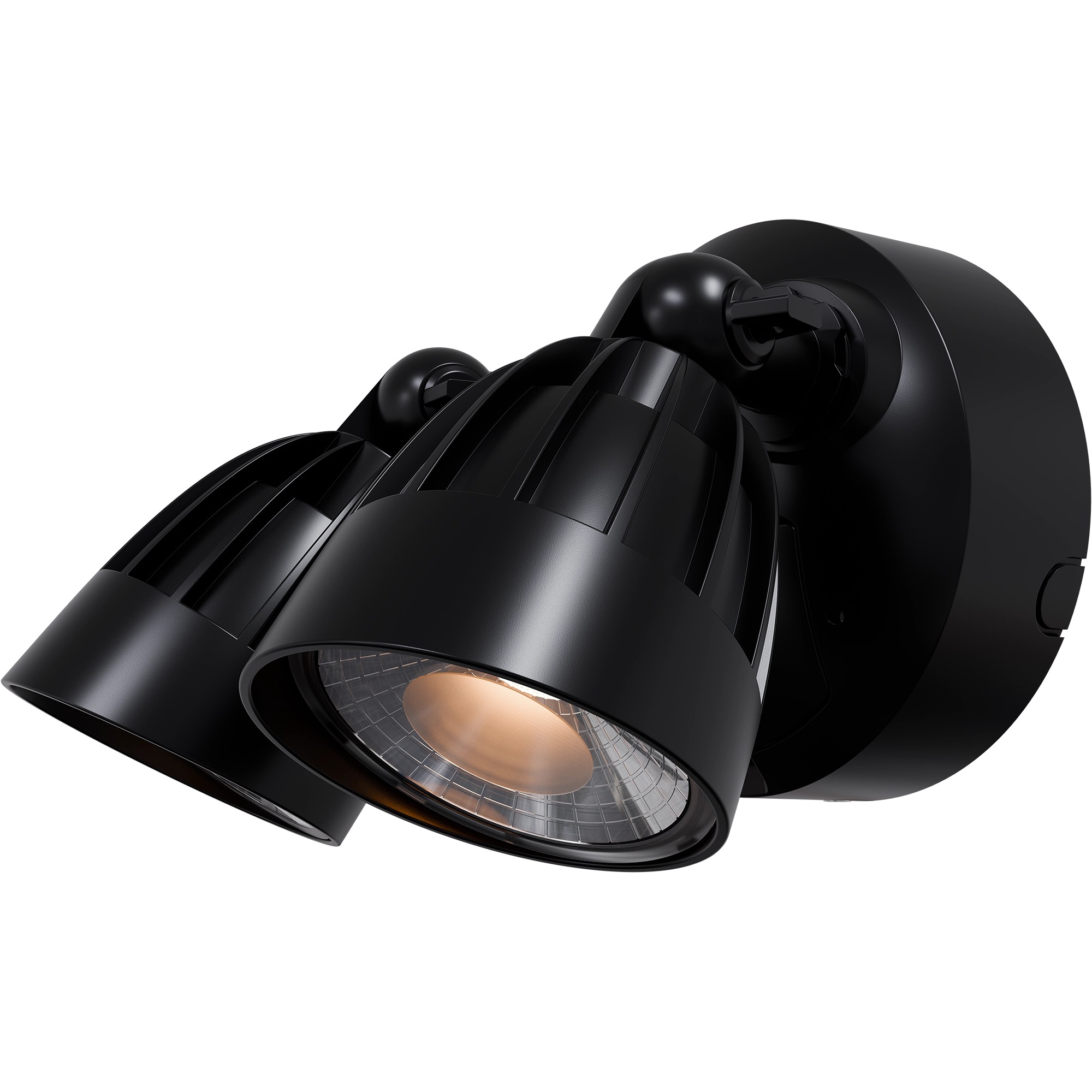 Nighthawk 2 Light Exterior Spotlight 30W TRI Colour Black IP65