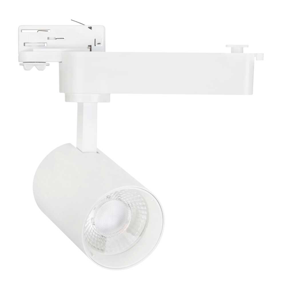 LED Track Head 30W 3 Circuit 3000K White
