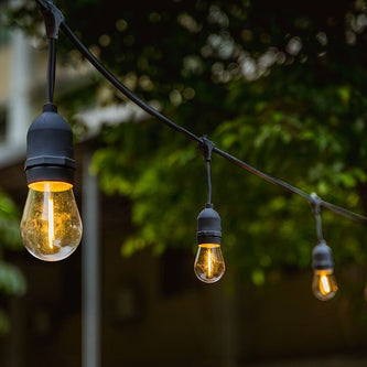 Festoon Lights