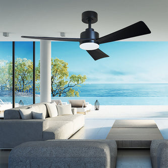 Ceiling Fans with Light