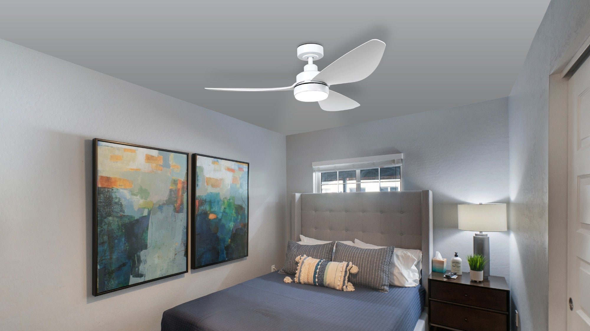 Smart Ceiling Fans