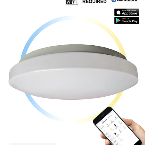 Smart Oyster Lights