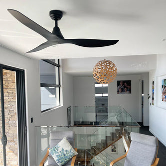 Ceiling Fans without Light