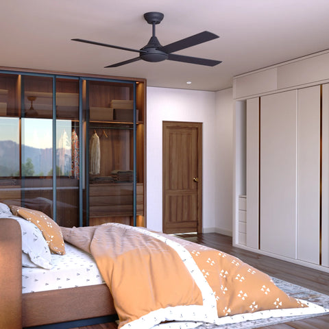 Budget Ceiling fans