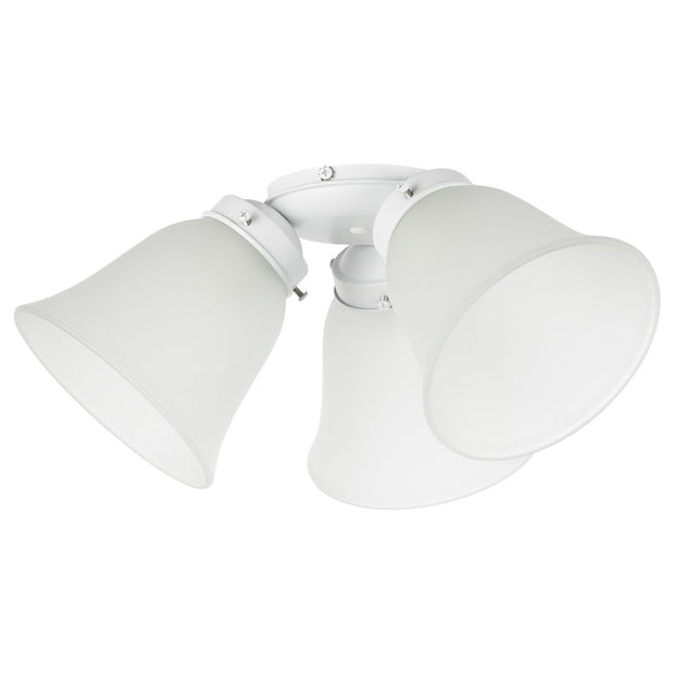 Waikiki White Light Kit