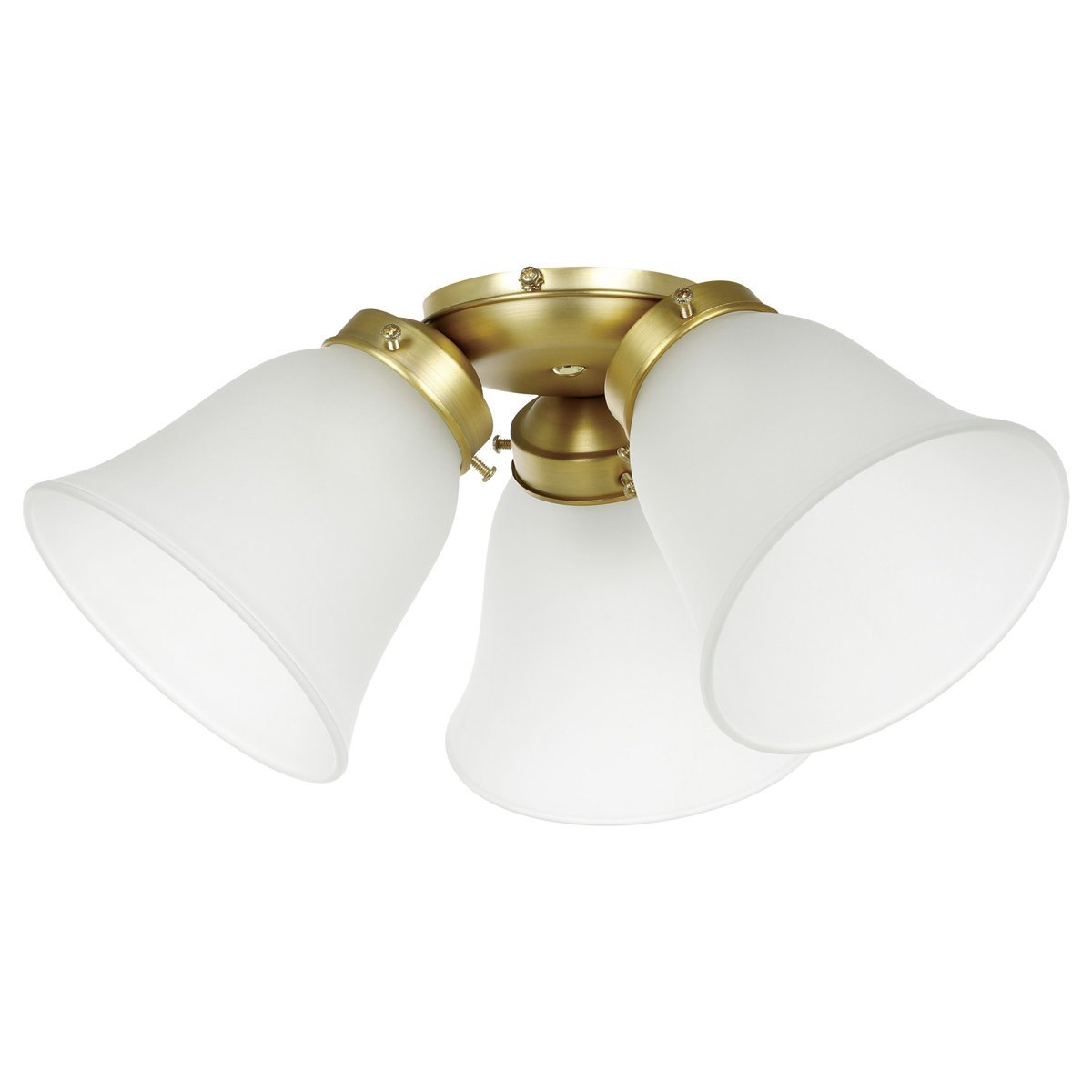 Waikiki Matt Brass Light Kit