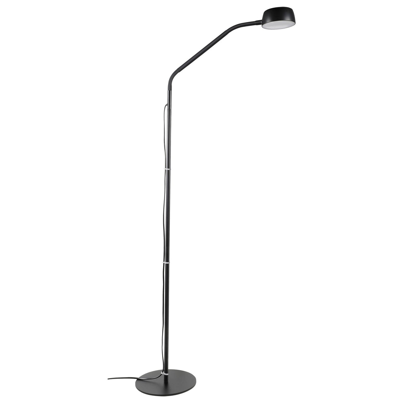 Ben 4.5watt Neutral White LED Floor Lamp in Black