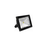 Thumbnail for 20w LED Flood Light Warm White - LED20WWWFLD