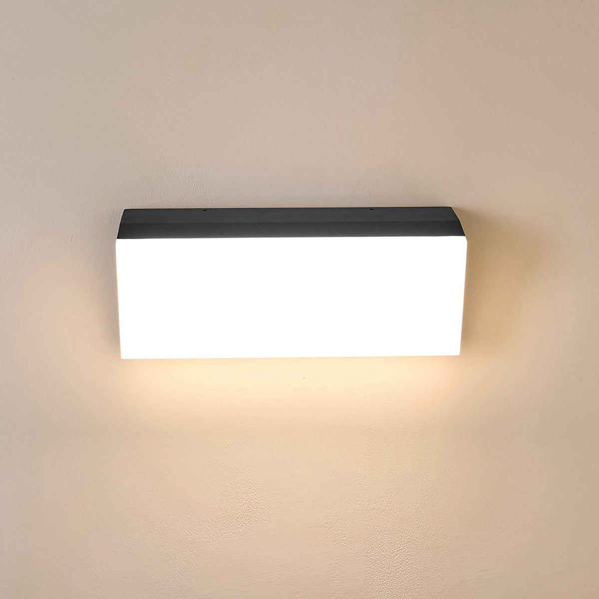 Harrington Black 36W CCT IP65 Wall Light