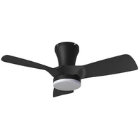 Thumbnail for Kiwi 32 inch Ceiling Fan with Light