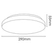 Dover White 18W CCT 290mm LED Oyster Light