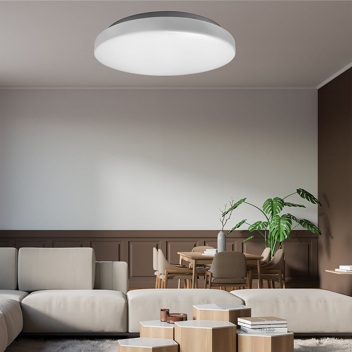 Dover White 30w CCT 350mm LED Oyster Light