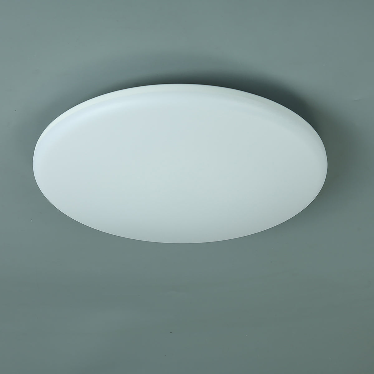 Saul-290 White 24W CCT IP44 LED Oyster Light