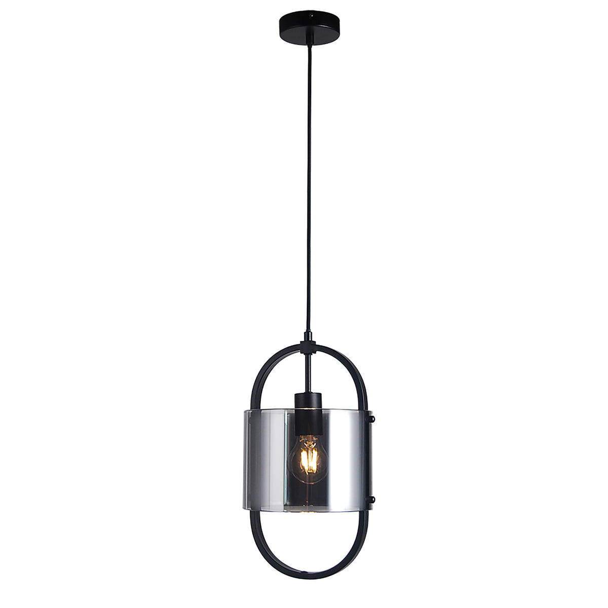 Dynamic Black with Smoke Glass 1 Light Pendant