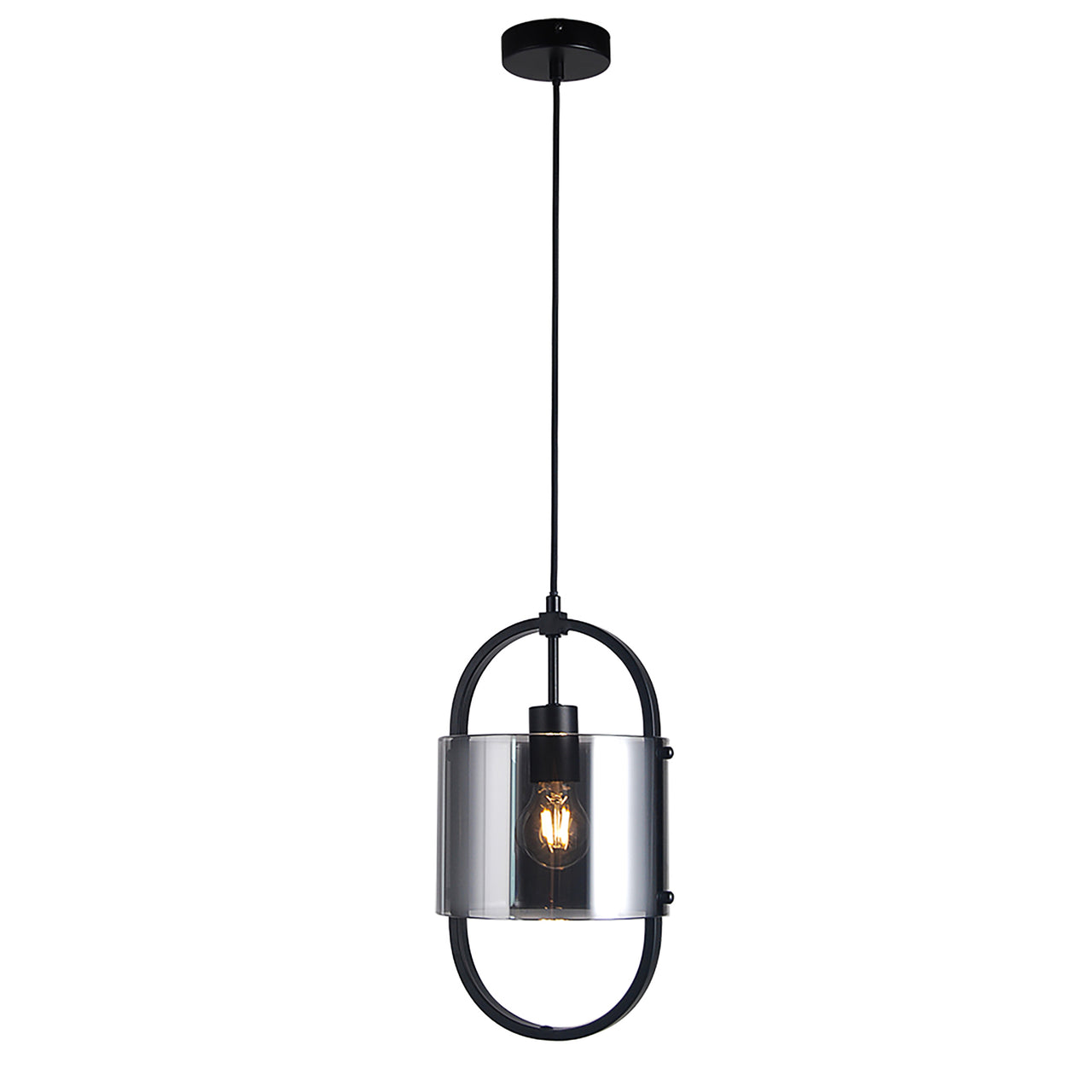 Dynamic Black with Smoke Glass 1 Light Pendant