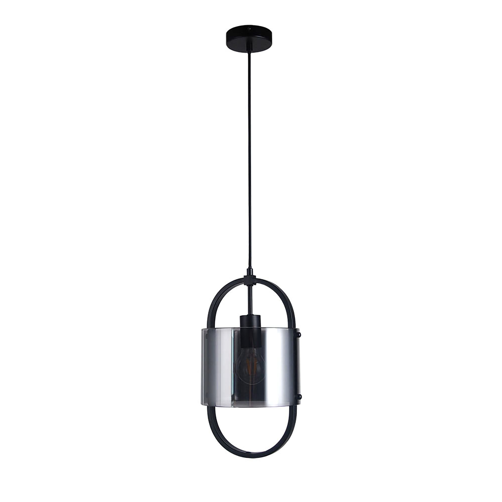 Dynamic Black with Smoke Glass 1 Light Pendant