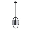 Dynamic Black with Smoke Glass 1 Light Pendant
