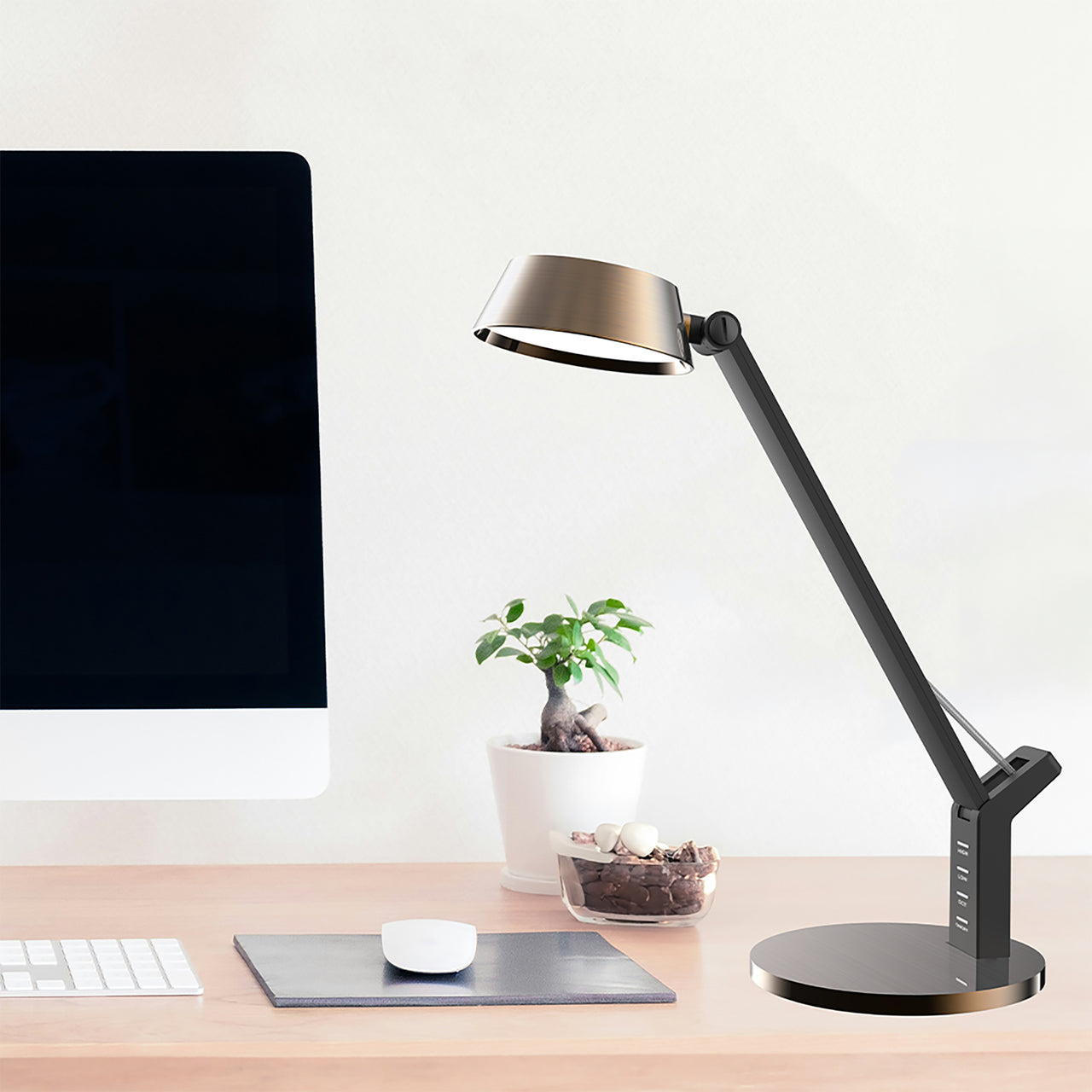 Hilda Champagne Gold 8w CCT with USB LED Desk Lamp