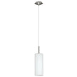 Troy 1 Light Pendant Light in Satin Nickel with Opal Glass