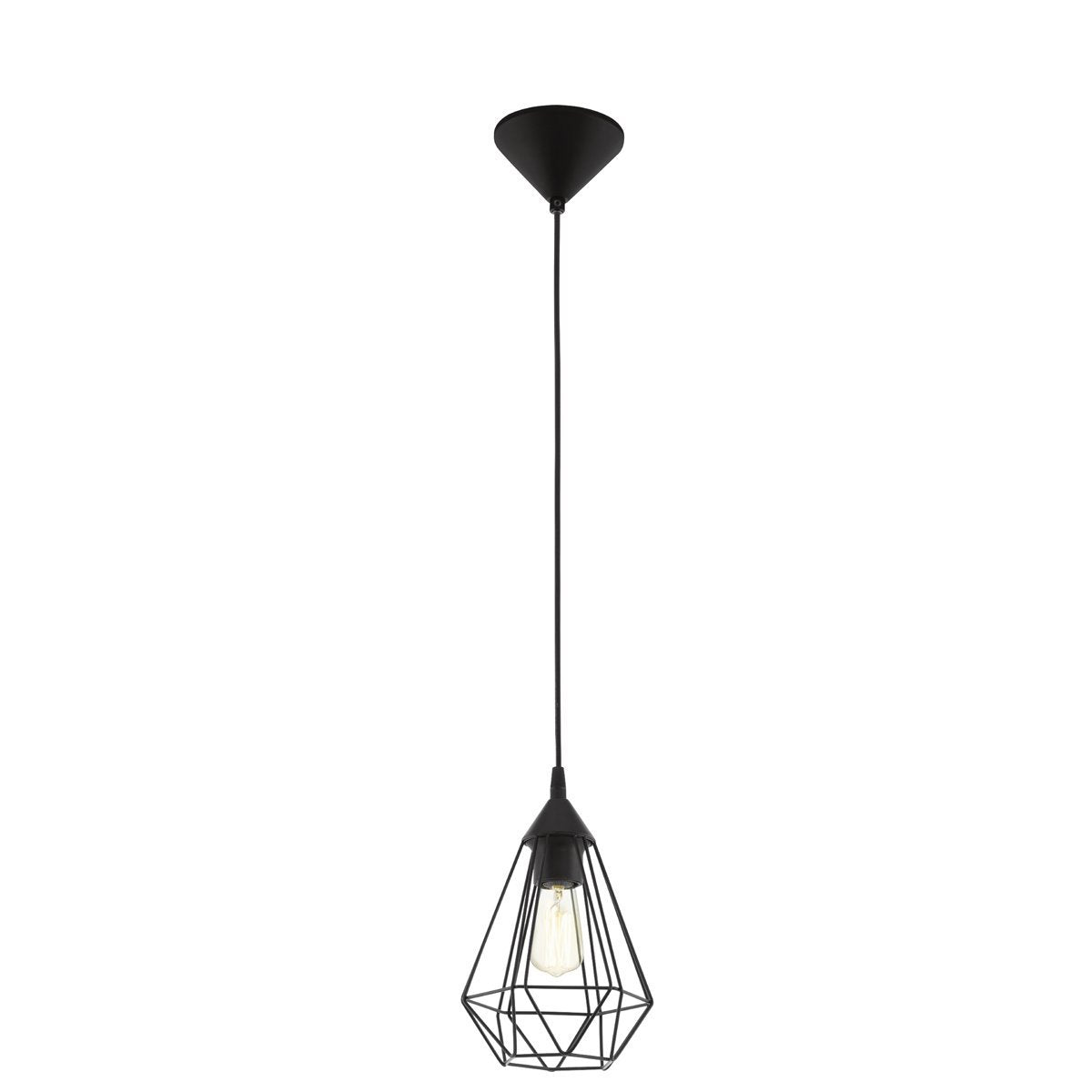 Tarbes 1 Light Small Cage Pendant Light in Black