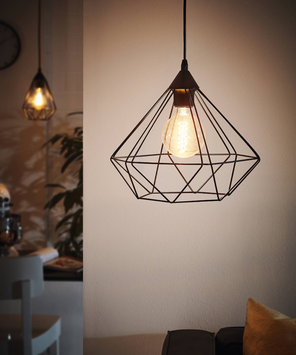 Tarbes 1 Light Large Cage Pendant Light in Black