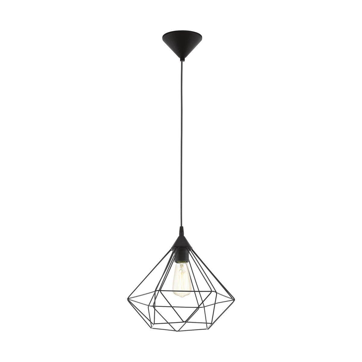 Tarbes 1 Light Large Cage Pendant Light in Black