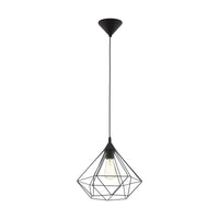 Thumbnail for Tarbes 1 Light Large Cage Pendant Light in Black