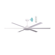 Albatross II DC WIFI & Remote Control Ceiling Fan