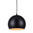 Anaan 1 Light Pendant Light in Black
