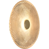 Thumbnail for Bilby Brass & Crystalline 5W CCT 300mm Wall Light