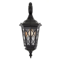 Thumbnail for Brinley Large IP44 Exterior Wall Light in Black