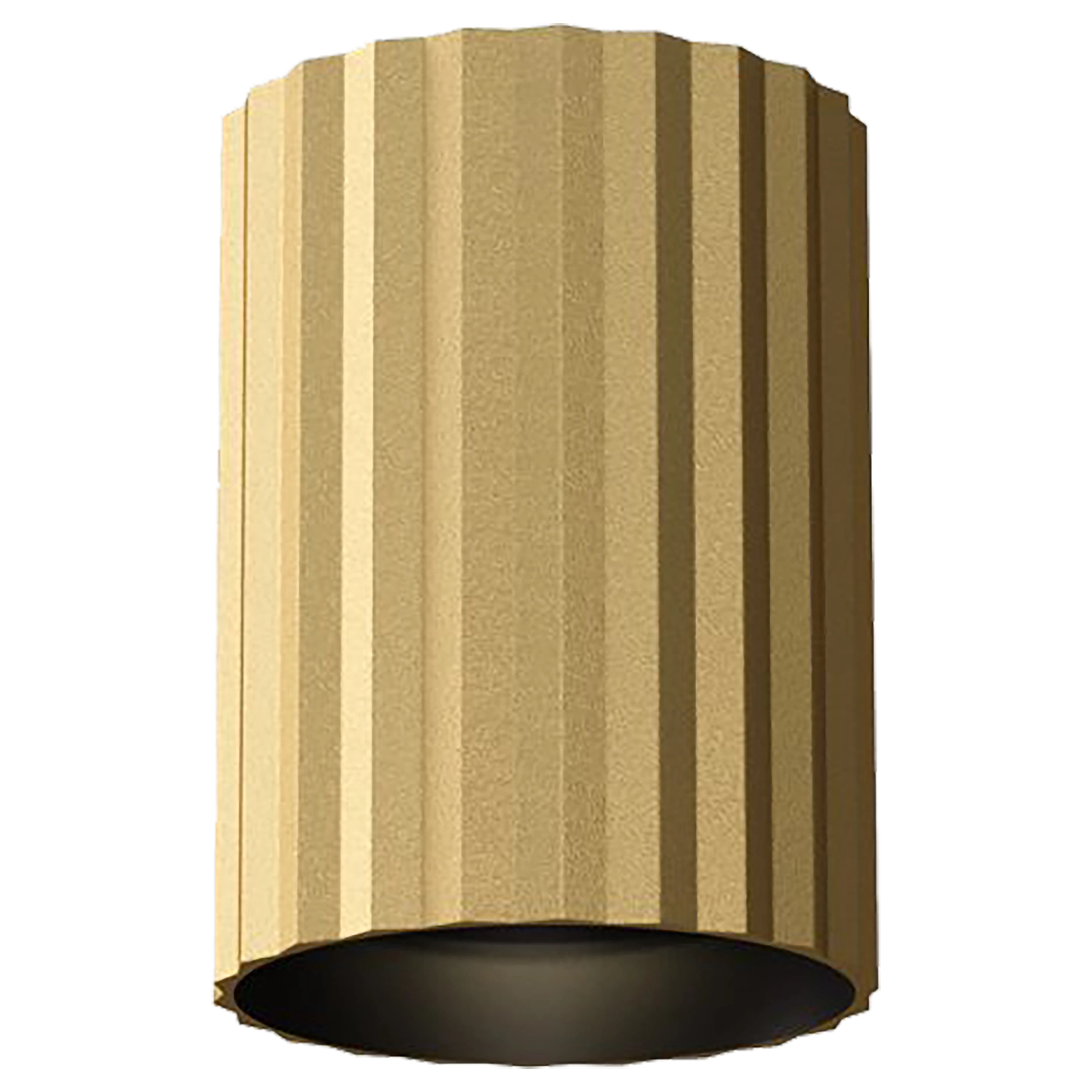 Canary Brass 150mm GU10 Surface Mounted Downlight