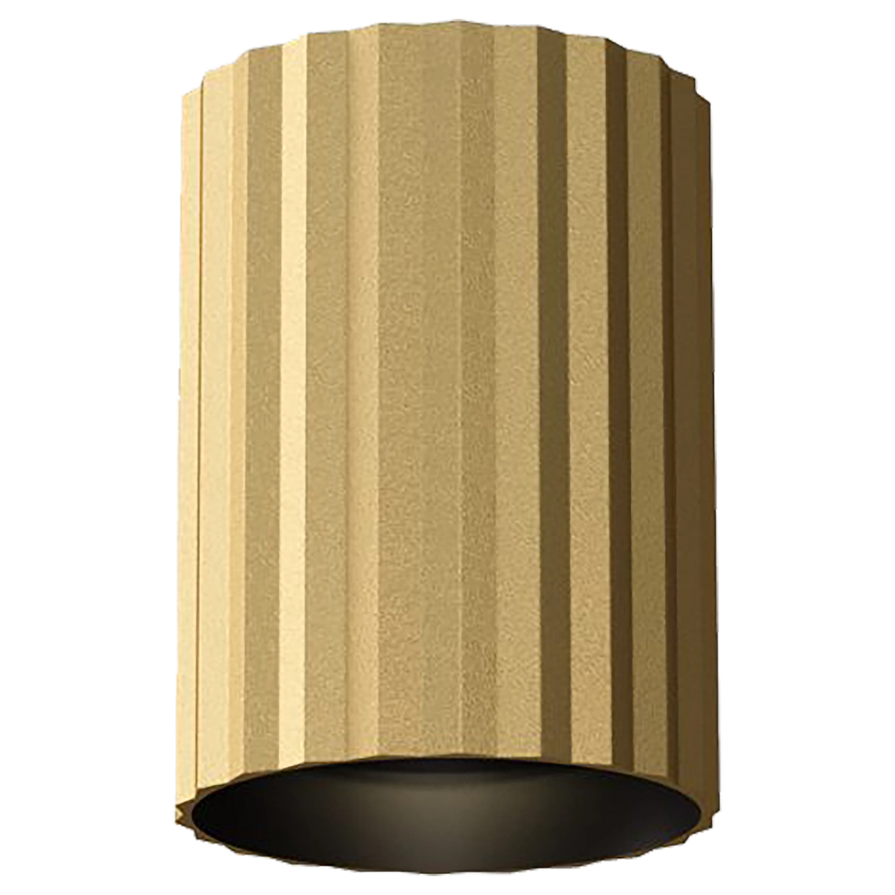 Canary Brass 150mm GU10 Surface Mounted Downlight