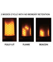 CHAMA: LED Decorative Flame Effect Globes (5W)
