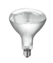 Heat Lamp Globes