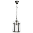 Clovelly Chrome 1 light