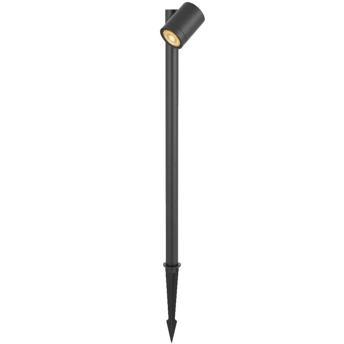 CLOVIS PT-BK24
