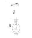 CONTOUR: Interior Black Wire Pear Shape Pendant Light