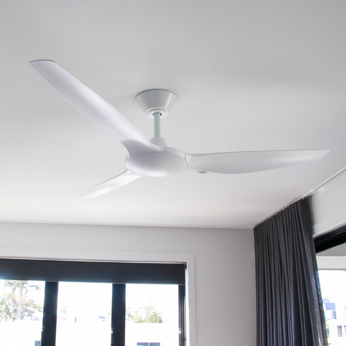 #light_no-light