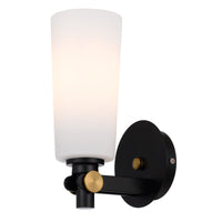 Thumbnail for Delmar 1 Light Wall Light in Black with Opal Glass